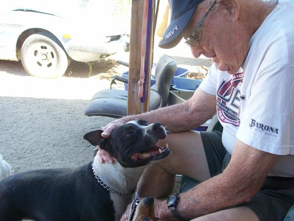 Dan Garland rescued Dolly three years ago afer he found her tied to his fence one morning.