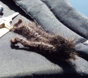 Deputies found a chunk of the toddler's hair inside Fletcher's diaper bag. (LUIS MEZA)