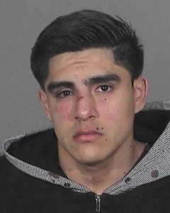 Roberto Rodriguez faces a maximum possible sentence of 15-years-to-life in state prison, if convicted. (Booking photo courtesy LASD)