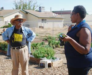 Al Burrola and Garlena Davis discuss gardening techniques.